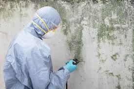 Best Crawl Space Mold Remediation in Dock Junction, GA